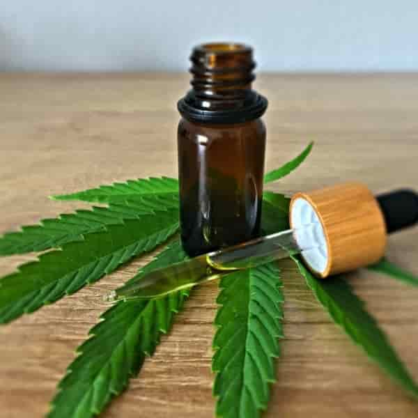 CBD May Be Effective for Pain Management After Certain Surgeries - CBD ...