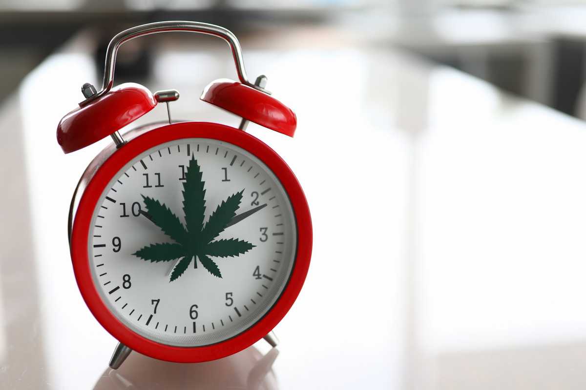 When Should I Take CBD Oil Morning or Night?