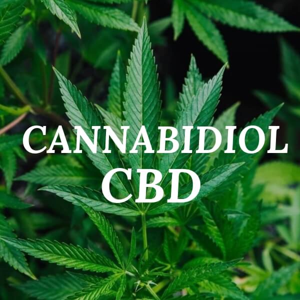 What is CBD (Cannabidiol): The CBD Cannabinoid With MEdical Benefits